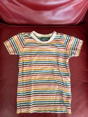 Little Green Radicals Striped Short Sleeve Kids Tee in Multicolor